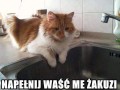 Jeśli łaska