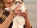 Sad cat is sad