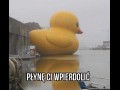 Płynę