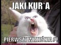 Kura