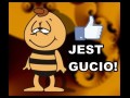Jest gucio