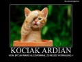 Kociak