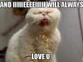 I will always