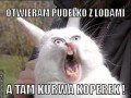 Koperek