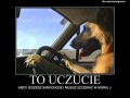 Szczekanie
