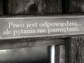 Piwo jest odpowiedzią