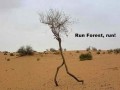 Treeeeeeeeeeee