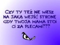 Plecy