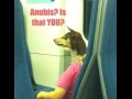 Anubis