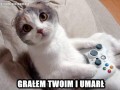 Umarl