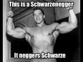 Shwarzeneger