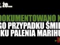 Nie udokumentowano zgonu po jointach
