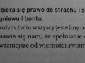 Prawa