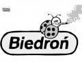 Biedroń