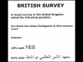 British sourvey