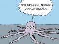 Osiem ramion