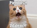 Pierdolisz