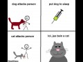 Just a cat