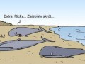Skrót