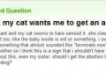 Abortion cat