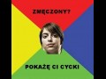 Idealna dziewczyna