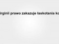 To takie piękne miejsce do życia