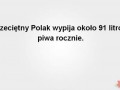 Przecietny polak