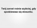 Lubimy drapać kobiety