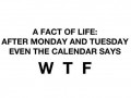 A fact of life