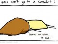 Koncert