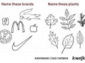 Plants vs brands