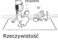 Koty