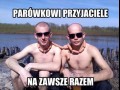 Przyjaźń