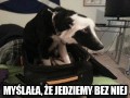 Aww