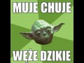 Yoda