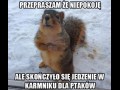 Witam