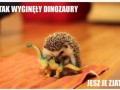 Tak było