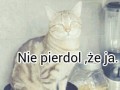 Koteł