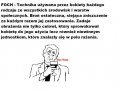 Foch