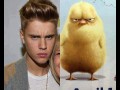 Bieber