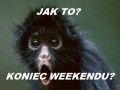 Weekend