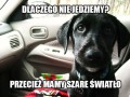 Pieseł