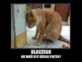 Dlaczego