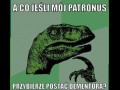 A co jeśli