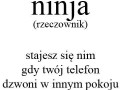 Ninja