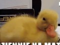 Za każdym razem 1