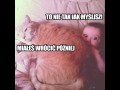 Witam
