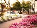 Hello