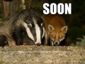 Soon