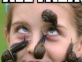 Ale faza